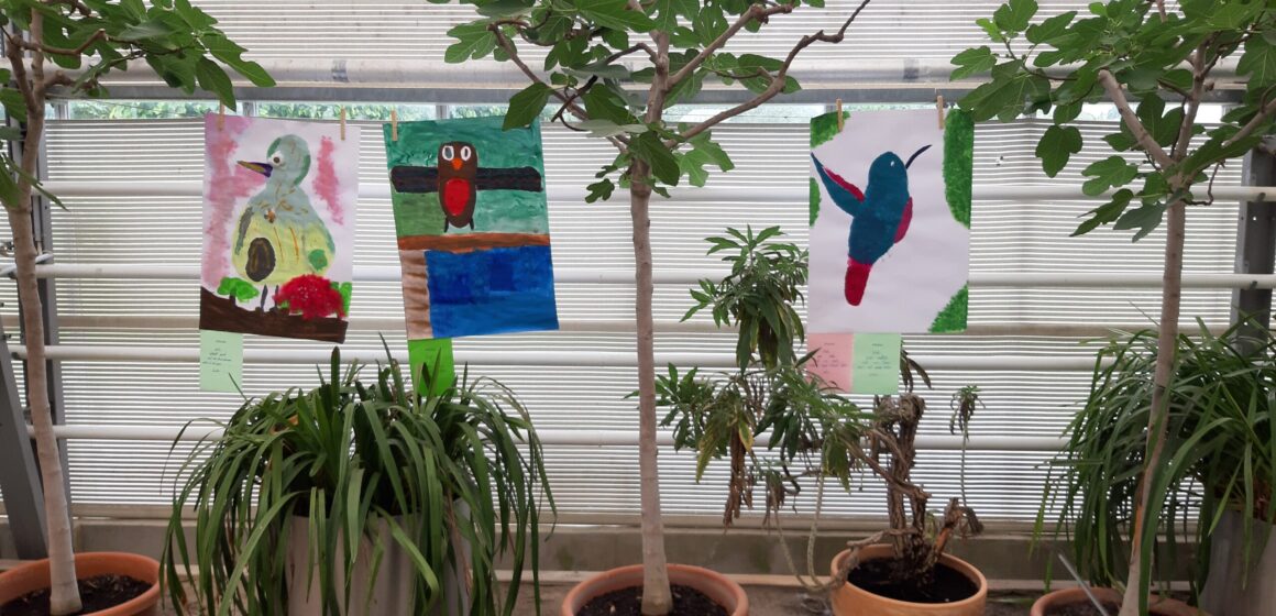 Blumenhalle Kunst Comenius 2025 - 9