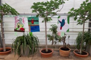 Blumenhalle Kunst Comenius 2025 - 9