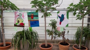 Blumenhalle Kunst Comenius 2025 - 9