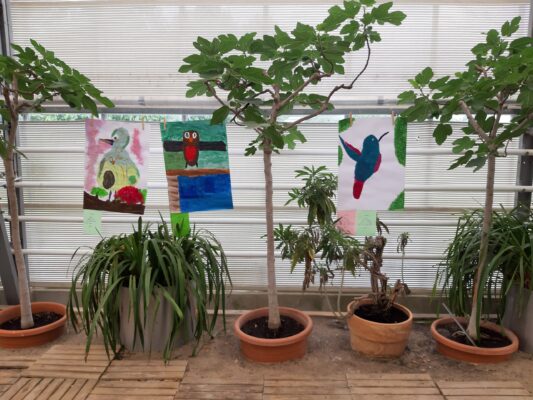 Blumenhalle Kunst Comenius 2025 - 9