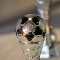 planet_fox-cup-4852095_1920